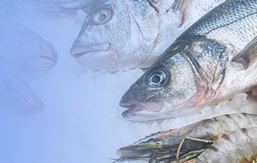  瑞達狀（水產）