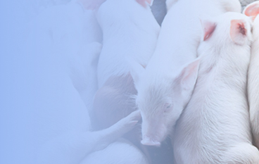  溢多康/溢多康T