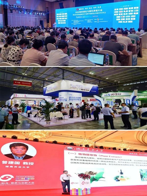 1603184017101168.jpg 展會.jpg